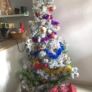 Apartamento Génial